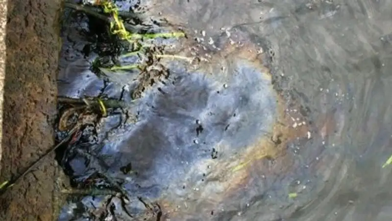 У берегов Австралии произошел разлив нефти