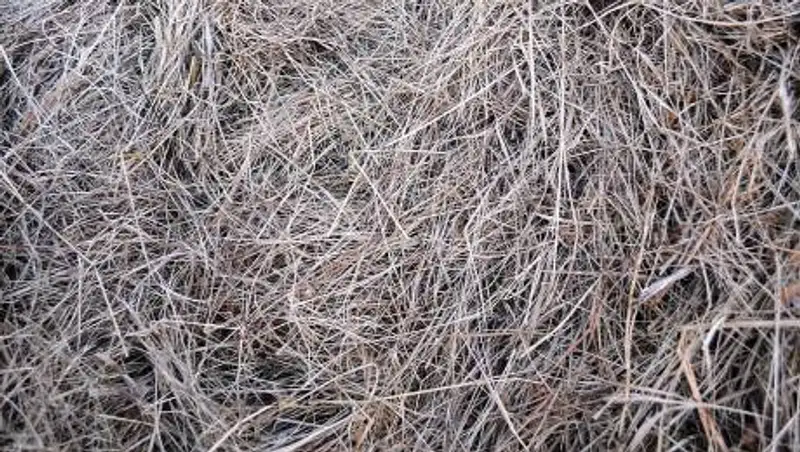 Появилось видео спасения пропавшего в Павлодарской области мальчика