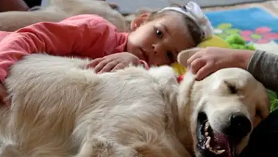 Zakon.kz, фото - Новости Zakon.kz от 19.10.2014 23:47