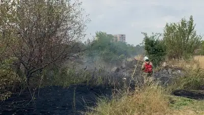 ДЧС Алматы, фото - Новости Zakon.kz от 14.08.2019 17:45
