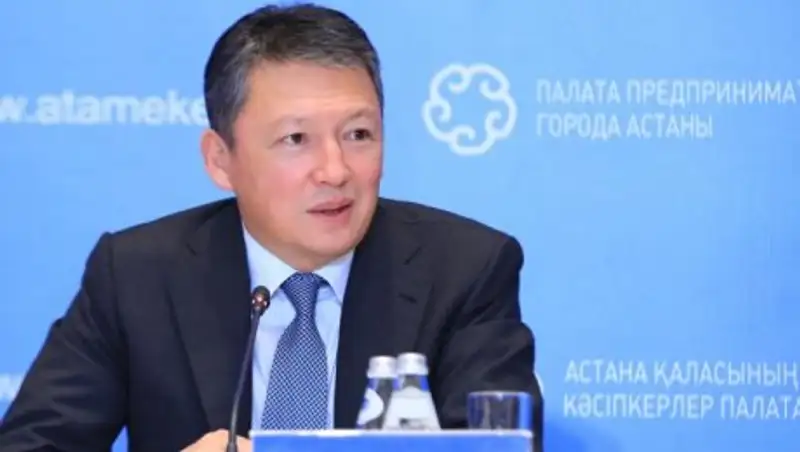 Тимур Кулибаев заступился за нелегальных таксистов