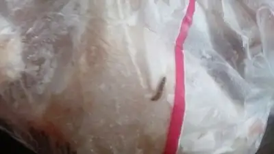 Zakon.kz, фото - Новости Zakon.kz от 03.08.2015 06:01