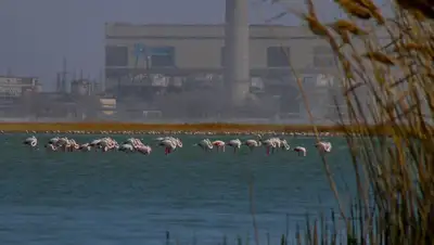 Озеро Караколь Актау, фото - Новости Zakon.kz от 13.10.2022 12:18