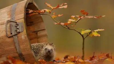 Zakon.kz, фото - Новости Zakon.kz от 19.09.2017 06:00