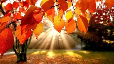 Zakon.kz, фото - Новости Zakon.kz от 27.09.2016 12:00