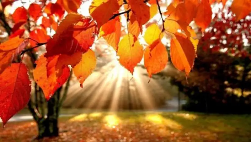 На большей части Казахстана 27 сентября сохраняется погода без осадков