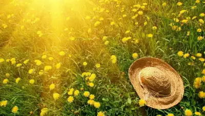 miasskiy.ru, фото - Новости Zakon.kz от 10.07.2020 12:11