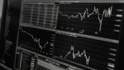 pixabay.com, фото - Новости Zakon.kz от 29.01.2021 17:40