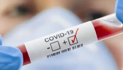 depositphotos, фото - Новости Zakon.kz от 02.05.2020 01:38