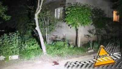 Zakon.kz, фото - Новости Zakon.kz от 17.05.2017 16:28