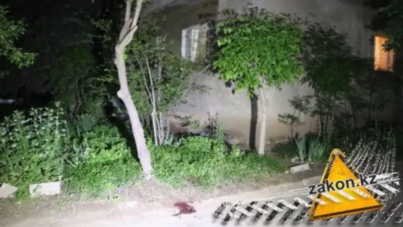 В Алматы задержаны родственники женщины, избившие битой ее бывшего мужа 