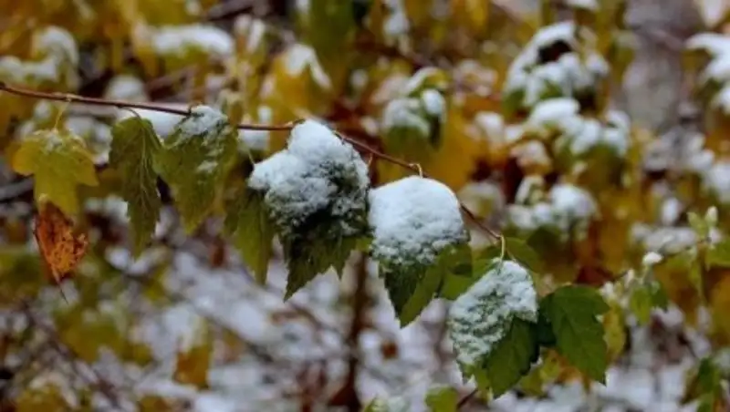 Штормовое предупреждение объявлено в нескольких областях Казахстана