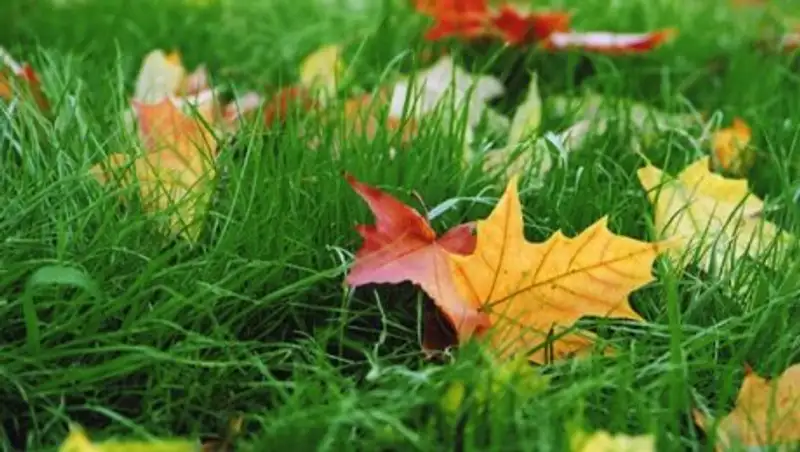 Преимущественно без осадков - погода во вторник в Казахстане