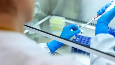 depositphotos, фото - Новости Zakon.kz от 01.05.2020 23:27