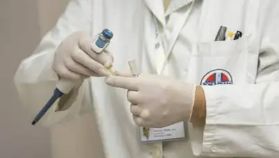 Pixabay, фото - Новости Zakon.kz от 18.09.2020 17:06