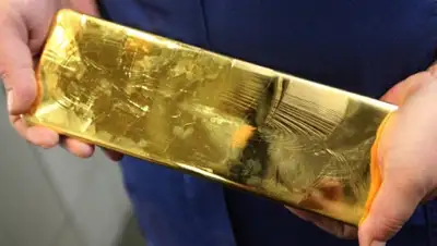 Zakon.kz, фото - Новости Zakon.kz от 14.11.2015 19:23