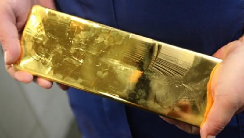 Слиток золота весом более 5 кг украден у пенсионерки в Подмосковье