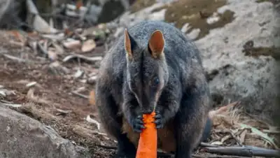 Facebook, фото - Новости Zakon.kz от 12.01.2020 19:22