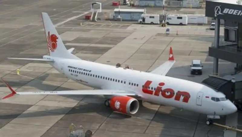 На борту упавшего самолета было около 20 сотрудников минфина Индонезии