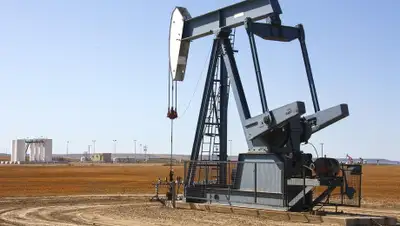 Pixabay, фото - Новости Zakon.kz от 09.04.2020 20:00