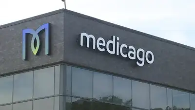 Medicago, фото - Новости Zakon.kz от 31.03.2020 14:53