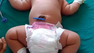 Zakon.kz, фото - Новости Zakon.kz от 10.11.2016 21:41