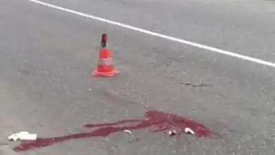 Zakon.kz, фото - Новости Zakon.kz от 19.05.2014 17:07