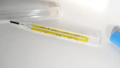 pxhere.com, фото - Новости Zakon.kz от 24.03.2020 22:59