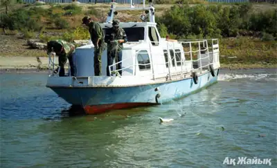 Zakon.kz, фото - Новости Zakon.kz от 13.11.2013 19:05