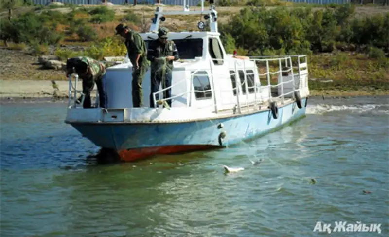 А нужна ли нам рыбоохрана?