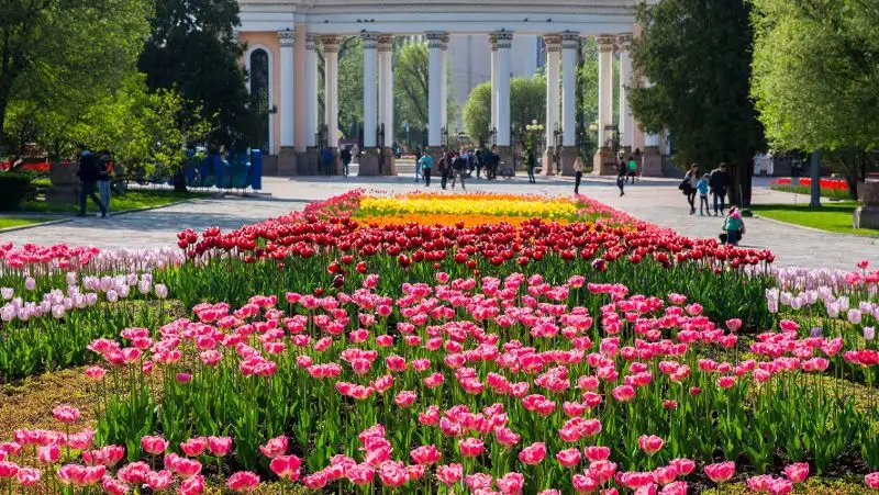Синоптики рассказали, каким будет лето в Казахстане