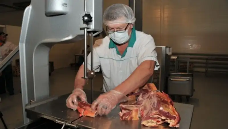 Назарбаев: Переработка «от рогов и до копыт» должна присутствовать в сельском хозяйстве