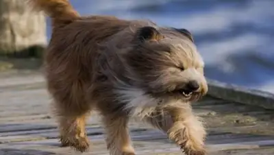 Zakon.kz, фото - Новости Zakon.kz от 21.09.2017 18:12