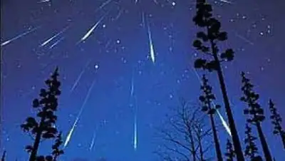 Zakon.kz, фото - Новости Zakon.kz от 12.08.2015 20:26