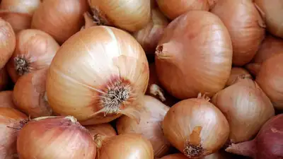 Жумангарин о ценах на лук в Казахстане, фото - Новости Zakon.kz от 16.02.2023 16:01