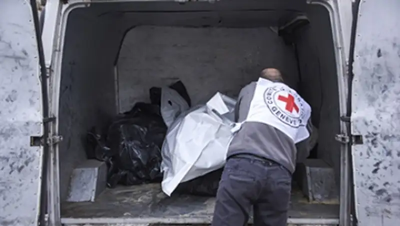 Порошенко подписал закон о развитии волонтерского движения