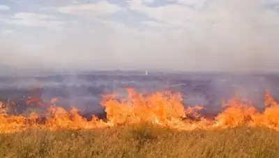 Zakon.kz, фото - Новости Zakon.kz от 08.10.2015 20:33