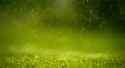 Zakon.kz, фото - Новости Zakon.kz от 25.07.2014 14:59