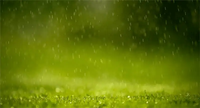 На большей части Казахстана ожидаются дожди с грозами, ветер