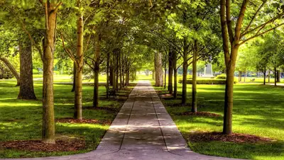 24.kz, фото - Новости Zakon.kz от 06.08.2020 19:11