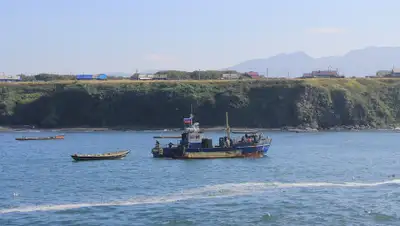 Pixabay, фото - Новости Zakon.kz от 01.07.2019 07:08