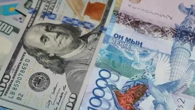 prodengi.kz, фото - Новости Zakon.kz от 09.07.2018 11:37