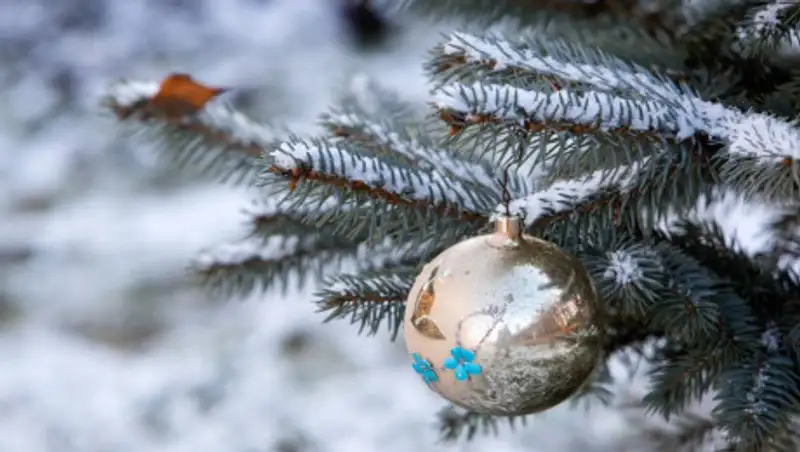 Что нельзя делать на Старый Новый Год