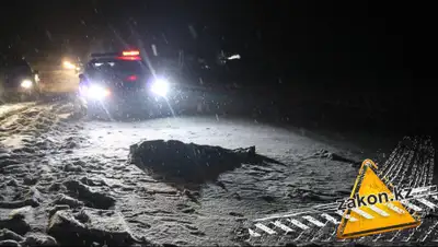 zakon.kz, фото - Новости Zakon.kz от 25.11.2019 09:42