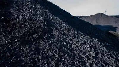 запасы ВКО, фото - Новости Zakon.kz от 26.11.2021 12:18