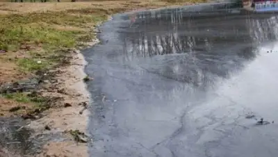 Zakon.kz, фото - Новости Zakon.kz от 25.05.2016 05:44