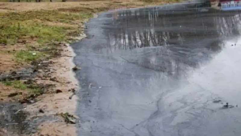 В Риддере токсичные отходы обогатительной фабрики сбросили в реку