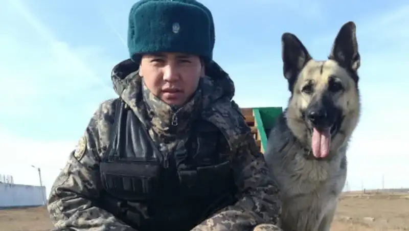 Собака помогла задержать убийцу в Жезказгане