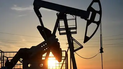 Zakon.kz, фото - Новости Zakon.kz от 17.11.2016 06:39