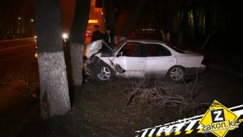 В Алматы Toyota проехала через встречную полосу и врезалась в дерево